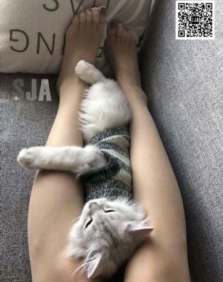 玫瑰故事完整版免费观看