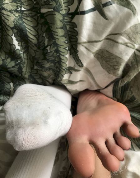 动物兄弟第二季