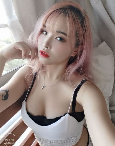 女士的法则 电视剧