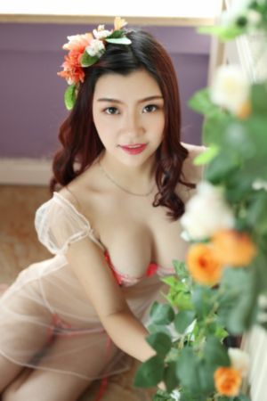 被涂污的鸟